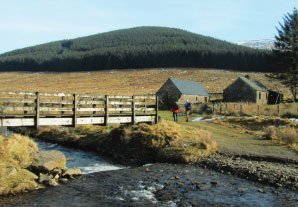 11 - White Shank, Capel Fell & Ettrick Head Shorter Circular