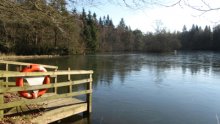 7  - The Lochs Walk, Bowhill Estate