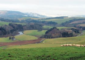 3 - Ettrickbridge Circular via Howford Hill and Helmburn Hill
