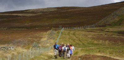 9  - The Duchess's Drive, Bowhill Estate