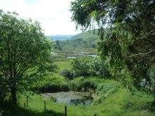 17 - Ettrick Marshes & High Conifer Forest Route