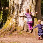 Bowhill Tree Trail