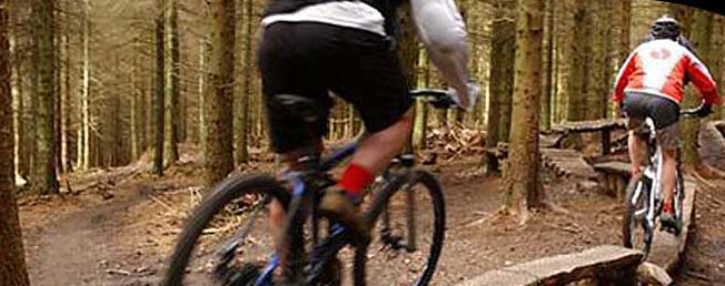 Mountain biking at glentress